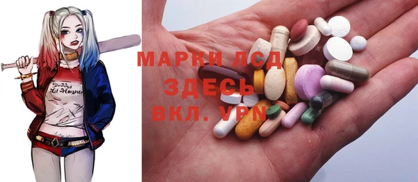 мдпв Вязьма