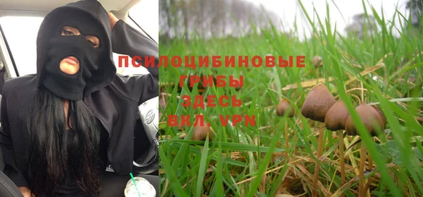 mdpv Вязники