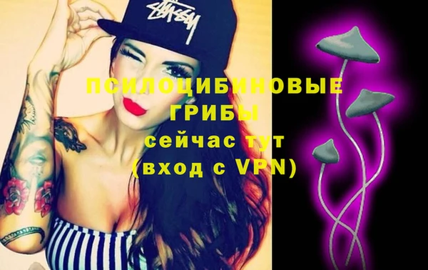 mdpv Вязники