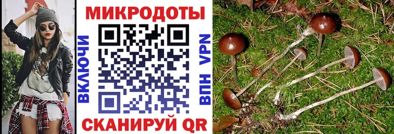 Купить где  Саяногорск  Псилоцибиновые грибы мицелий 